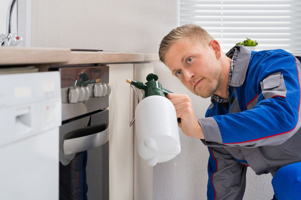 pest control jamnagar